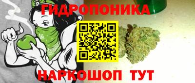 дмт Бузулук