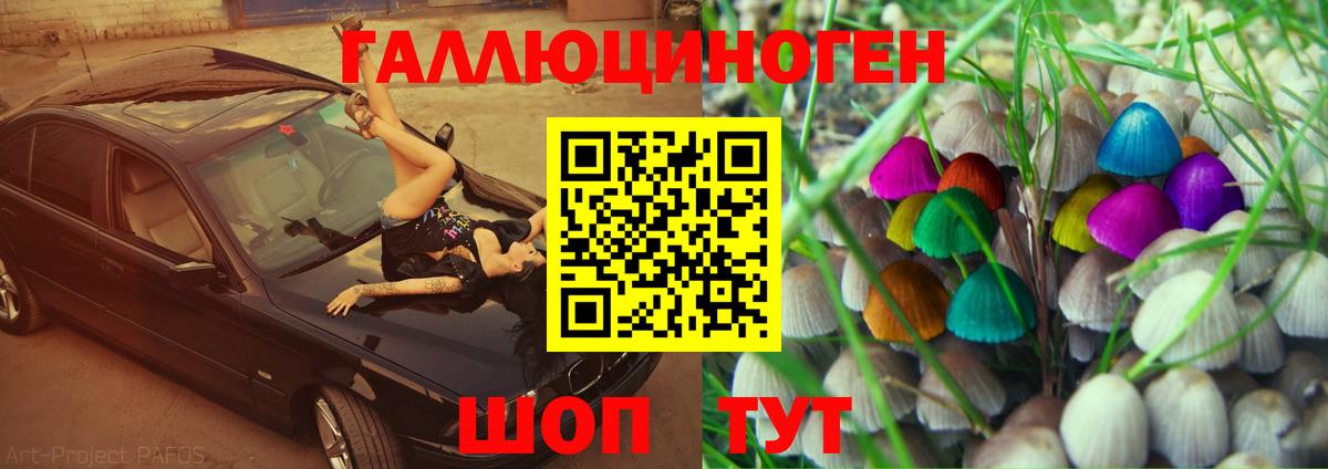 Пушкино  Галлюциногенные грибы Psilocybe  Вход с VPN 